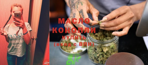 гидропоника Горнозаводск