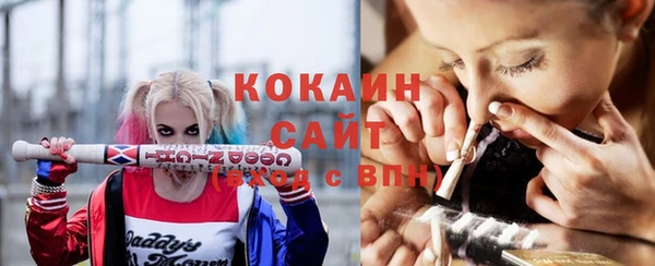 твердый Горняк