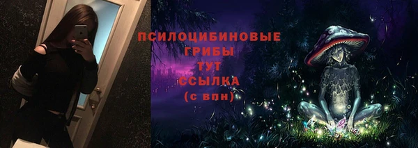 твердый Горняк