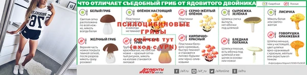 гидропоника Горнозаводск