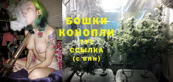 гидропоника Горнозаводск