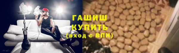 гидропоника Горнозаводск
