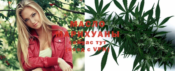 твердый Горняк