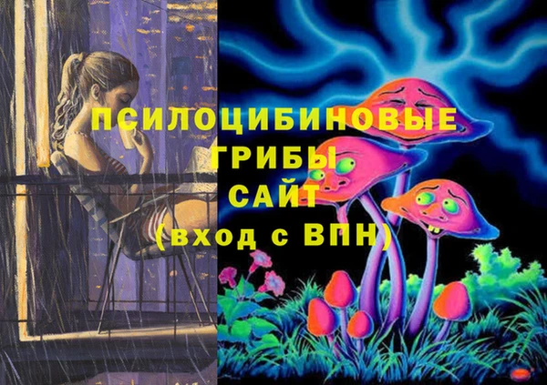 гидропоника Горнозаводск