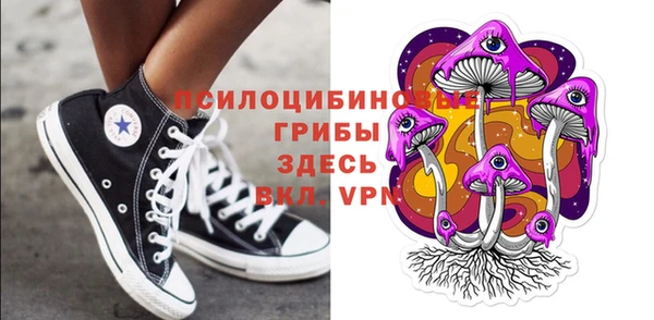 твердый Горняк