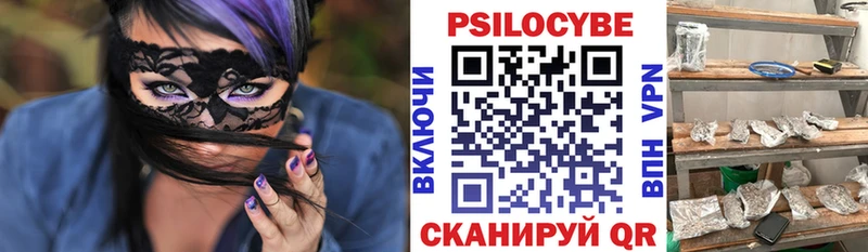 Галлюциногенные грибы Psilocybe  хочу   Дорогобуж 